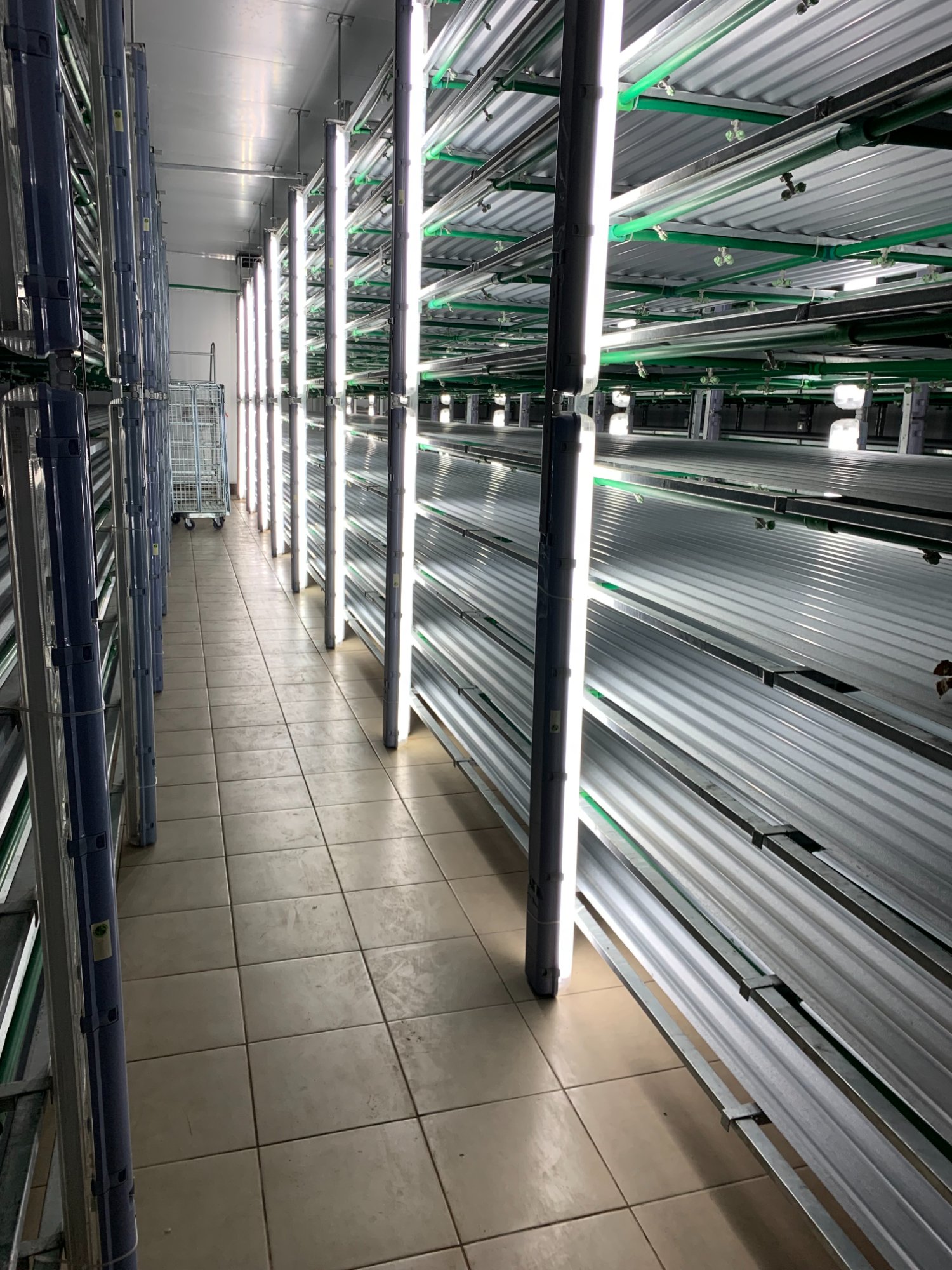 Green2Gro CEA system