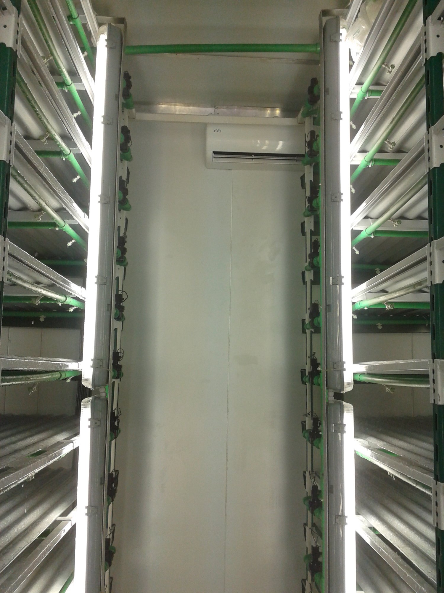 Aeroponic piping detail